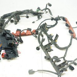 Engine Harness  8K1971072BL 2009 Audi A4