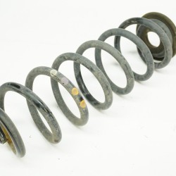 Volkswagen Tiguan 4 Motion Rear Shock Spring