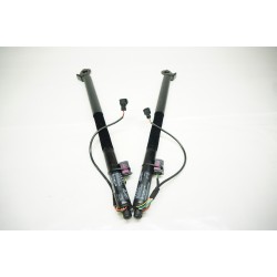 2013-2018 Audi A7 S7 RS7 Trunk Strut Drive Unit Motorized 4G8827851F
