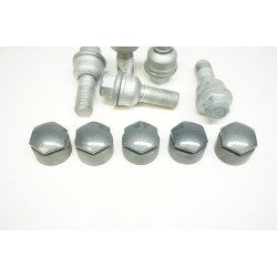 2019-2023 AUDI Q3 Wheel Lug Bolts and Caps - 5 Pack 8R0601295