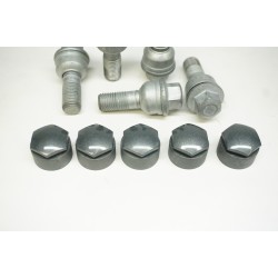 2019-2023 AUDI Q3 Wheel Lug Bolts and Caps - 5 Pack 8R0601295