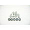 2019-2024 AUDI Q3 GENUINE Wheel Lug Bolts - 5 Pack 8R0601295
