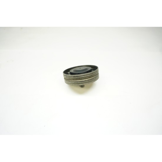 2013-2015 AUDI RS5 Engine Belt Idler Pulley 079903389A