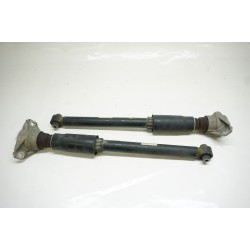 2017-2020 Audi A4 Quattro - Rear Shock Strut Set 8W0513035AD