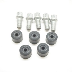 2022-2024 Volkswagen Taos Lug Bolts and Cap Set 5 Pack WHT001812