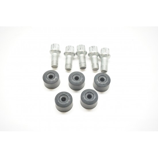 2022-2024 Volkswagen Taos Lug Bolts and Cap Set 5 Pack WHT001812