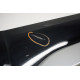 2021-2024 Audi SQ5 Q5 S Line - Rear Passenger Door Molding 80A853970G LY9B