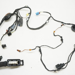 2021-2024 Audi Q5 Driver Front Door Harness w/ 360 Camera 80A971029N