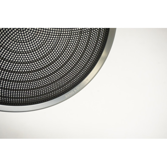 2014-2017 AUDI SQ5 Driver Door Speaker Cover Bang Olufsen 8R0035419