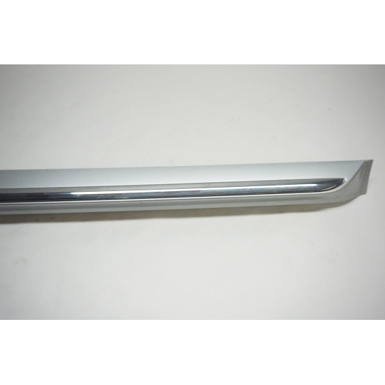 2012-2019 Volkswagen Beetle Passenger Door Blade Molding Right 5C5854940P