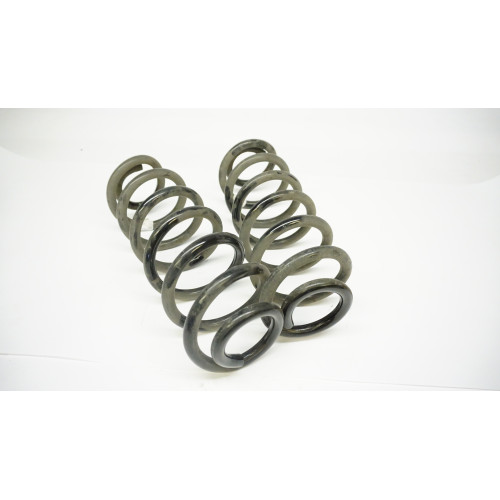 2018-2021 Volkswagen Tiguan 4-Motion Rear Shock Spring Set 5QN511115E