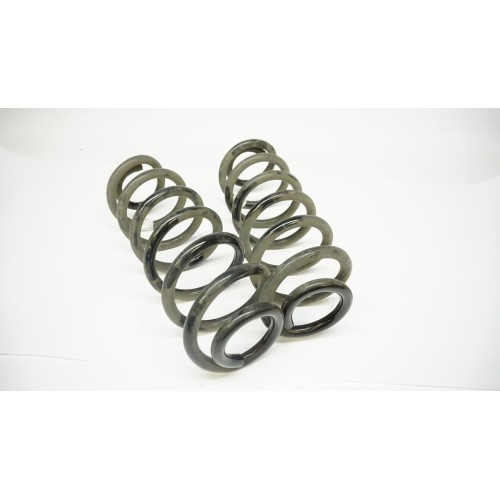 2018-2021 Volkswagen Tiguan 4-Motion Rear Shock Spring Set 5QN511115E