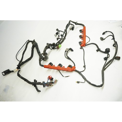 2015 AUDI Q7 CTW Engine Wire Harness 4L0971610DE