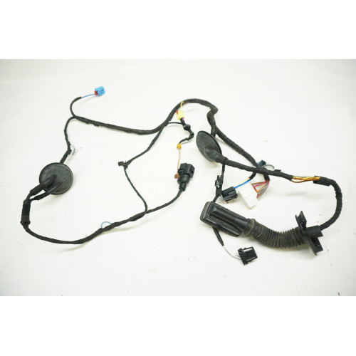 2019 AUDI Q5 Driver Door Wire Harness 80A971029D