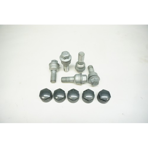 2019-2023 AUDI Q3 Wheel Lug Bolts and Caps - 5 Pack 8R0601295