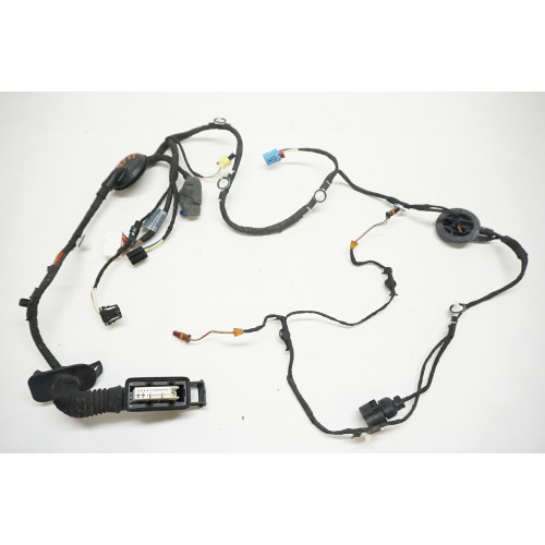 2021-2024 Audi Q5 Driver Front Door Harness w/ 360 Camera 80A971029N